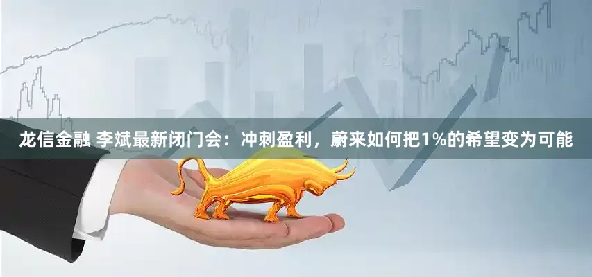 龙信金融 李斌最新闭门会：冲刺盈利，蔚来如何把1%的希望变为可能