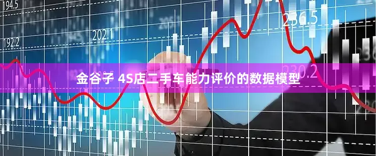 金谷子 4S店二手车能力评价的数据模型