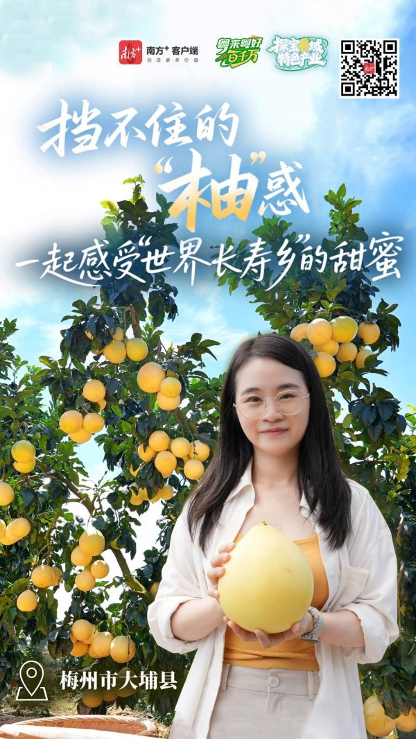 好牛配资 年产值超65亿元，挡不住的梅州“柚”惑｜粤来粤好百千万